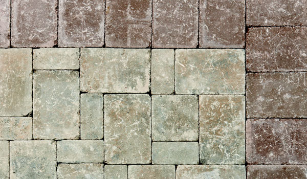 holland-Antique-Blend